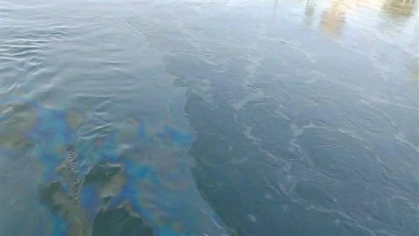 البقع الزيتية بنيل