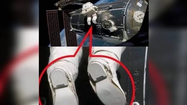 الصورة المتداولة