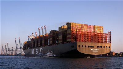 ميناء دمياط يستقبل أكبر سفينة في تاريخه.. طولها 400 متر وتستوعب 23 ألف حاوية │ صور