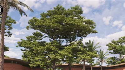 مجلس الوزراء: تطوير حديقة الحيوان بالجيزة لتحويلها إلى وجهة عالمية متكاملة| فيديو 