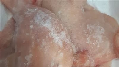 إعدام 30 كجم دواجن فاسدة في حملة لـ تموين أرمنت