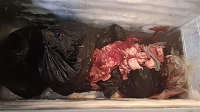 ضبط 5 أطنان ملح غير مطابق للمواصفات و57 كجم لحوما فاسدة في حملات تفتيش بالدقهلية 