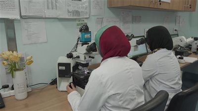 أورام الأقصر يدعم التشخيص السريع بجهاز الميكروسكوب متعدد الرؤوس