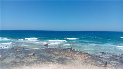 بسبب اضطراب حالة البحر.. غلق جميع شواطئ الإسكندرية غدًا الجمعة 