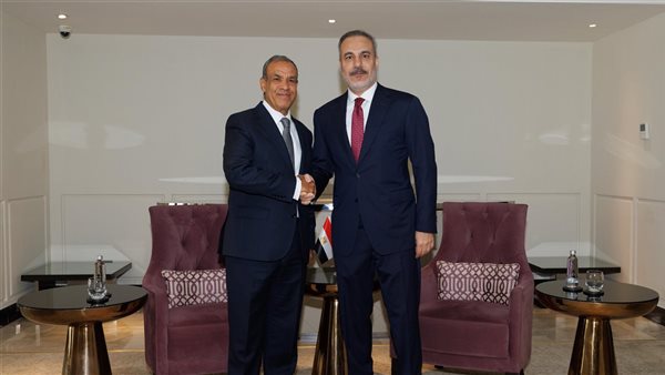 وزير الخارجية ونظيره