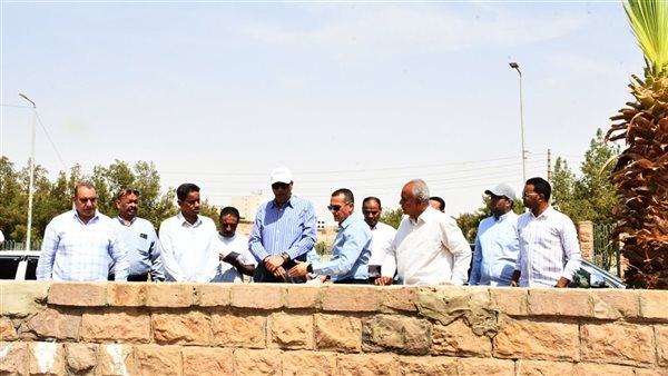 محافظ أسوان