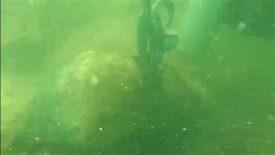 رحلة إلى باطن البحر.. صور لكنوز أبو قير الغارقة في أعماق البحر المتوسط