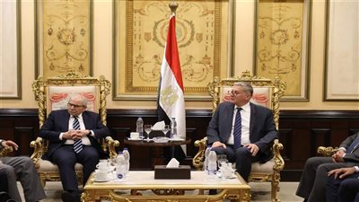 رئيس الحكومة اللبنانية يصل مصر في أول زيارة رسمية