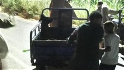 نجاة ركاب “تروسيكل” بعد انقلاب مفاجئ في ترعة بإسنا جنوب الأقصر| صور 