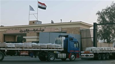 عبور 10 شاحنات مساعدات إماراتية معبر رفح متجهة إلى غزة