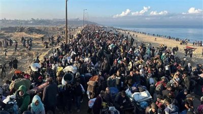 حماس ترد على مقترح مبعوث ترامب: جاهزون للمفاوضات 