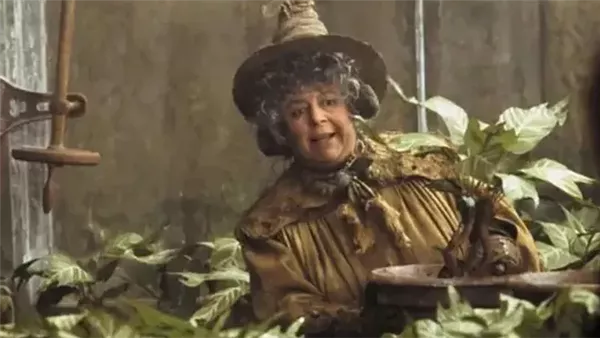 ميريام مارجوليس