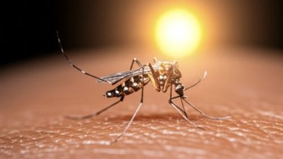 كوبا تواجه موجة واسعة من انتشار فيروس شيكونغونيا المنقول عبر البعوض