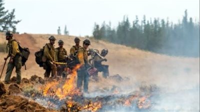 السلطات الأمريكية تعتقل إطفائيين خلال مكافحة حريق بتهمة الإقامة بشكل غير قانوني