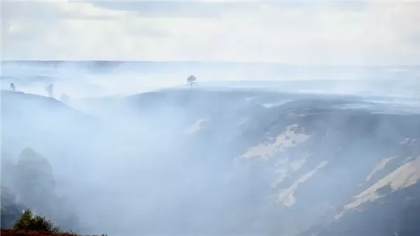 صورة تعبيرية 