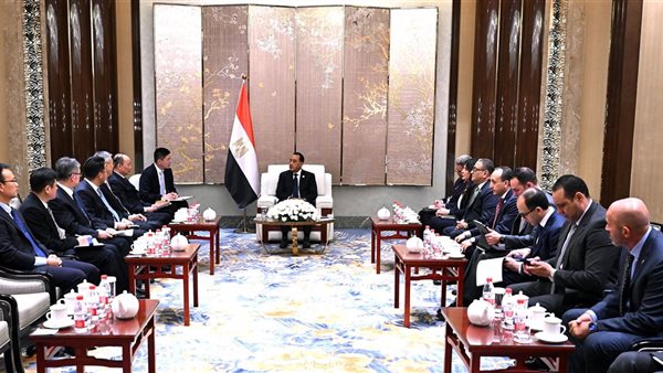 رئيس الوزراء يلتقي