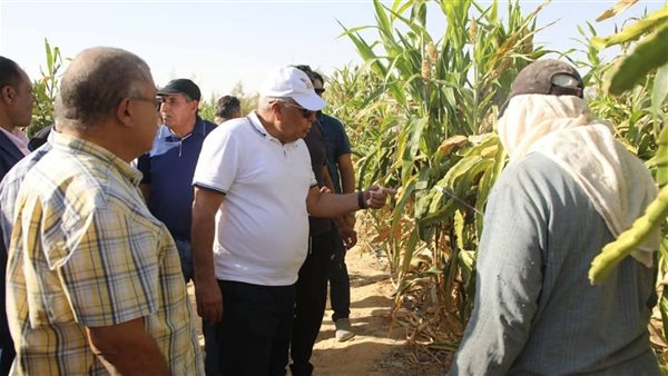 جانب من جولة محافظ