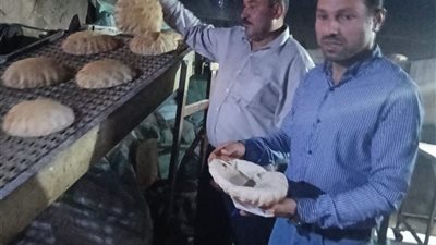 خلال يومين| تموين الدقهلية تحرر 176 مخالفة.. وضبط لحوم ودواجن مجهولة المصدر