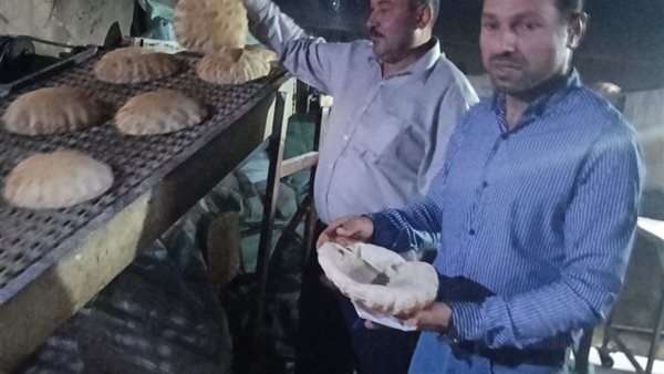 جانب من الحملة 