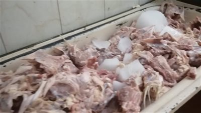 ضبط 2.35 طن دواجن غير صالحة للاستهلاك الآدمي بشبرا الخيمة