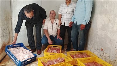 ضبط 550 كيلو دواجن ومخلفاتها غير صالحة للاستهلاك الآدمي داخل مصنع بدون ترخيص بالبحيرة 