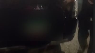 بسيارة دبلوماسية.. حبس المتهم بدهس شخص في شارع عرابي بالعجوزة