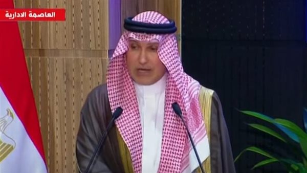 حسن الشربتلي - نائب