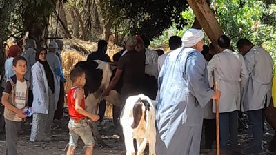 طب بيطري سوهاج تواصل إطلاق قوافلها الطبية البيطرية وتعالج 670 حيوانًا بقرية سفلاق