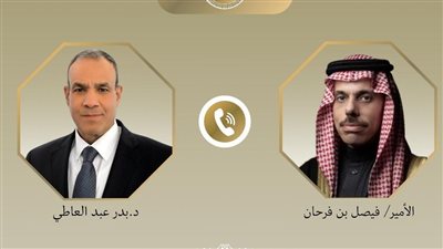وزيرا خارجية مصر والسعودية يبحثان الأوضاع في الضفة وغزة