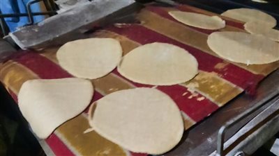 تموين القليوبية تحرر 287 مخالفة تموينية 