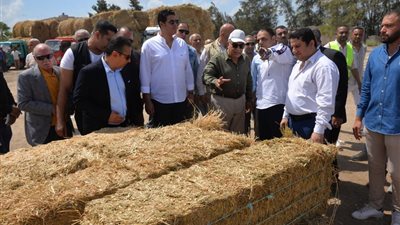 محافظ الدقهلية يشهد التشغيل التجريبي لمصنع تدوير المخلفات الزراعية بـ قلابشو