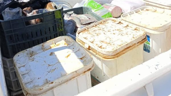 ضبط كمية الأسماك