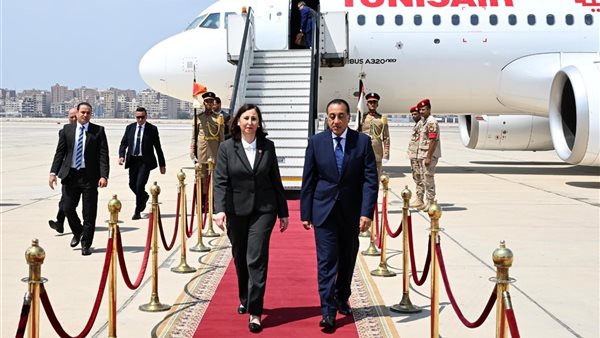 رئيس الوزراء يستقبل