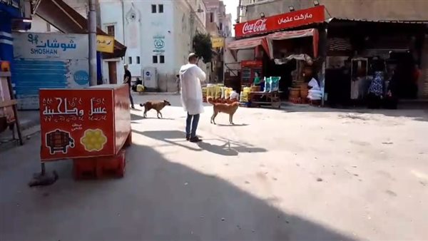 جهودها للوقاية من