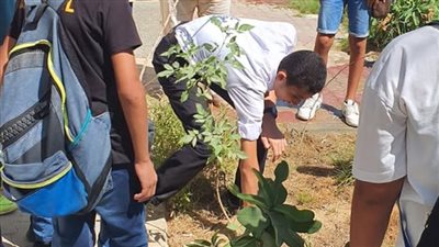 البيئة: زراعة 3025 شجرة جديدة في مناطق مختلفة احتفالا باليوم العالمي للهواء النظيف | صور