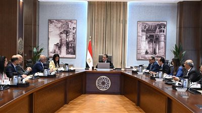 رئيس الوزراء يلتقي المدير التنفيذي لمصر بمجموعة البنك الدولي