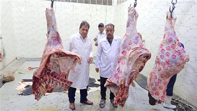 تشديد الرقابة على اللحوم.. الطب البيطري بالأقصر يحرر محاضر ضد مخالفين بإسنا