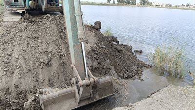 بورسعيد × 24 ساعة| إزالة مزارع سمكية مخالفة وتشديد توجيهات السلامة على الشاطئ.. ومتابعة تشغيل الرعايات المركزة