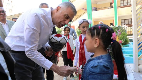 محافظ أسوان