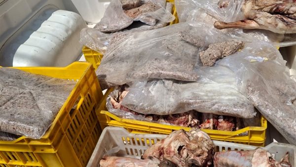 جانب من المضبوطات