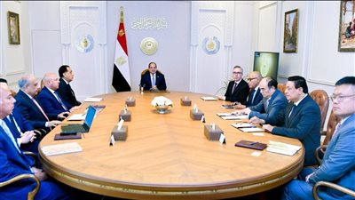 الرئيس السيسي يبحث فرص التعاون الثلاثي مع شركتي سكاتك النرويجية وصنجرو الصينية