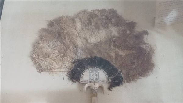 كنوز الملك توت عنخ