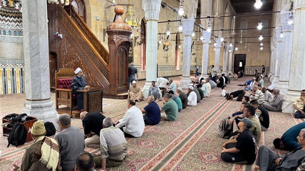 مجالس دار الإفتاء