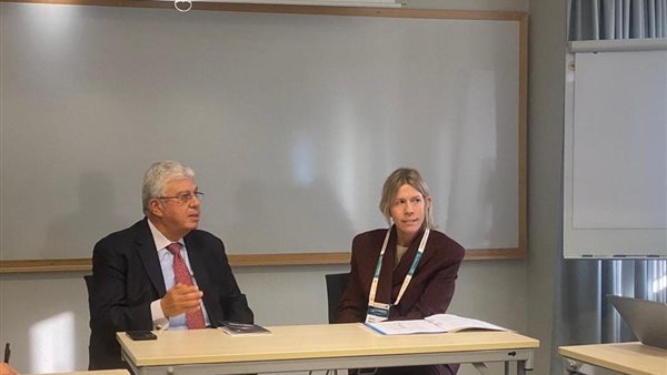 الدكتور أيمن عاشور