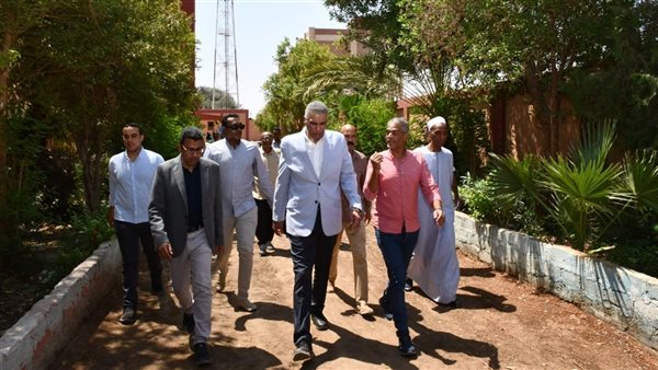 محافظ أسوان