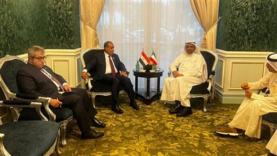 مصر والكويت تؤكدان رفض أي اعتداء على سيادة الدول العربية 