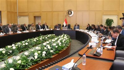 برئاسة وزير الكهرباء.. المجلس الأعلى للطاقة يناقش الإسراع بتوفير الكهرباء والغاز للمشروعات الصناعية الاستراتيجية