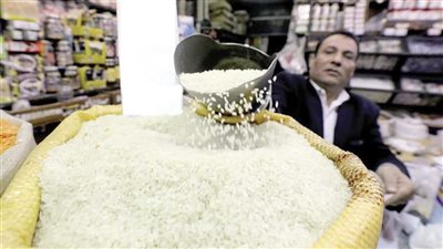 رجب شحاتة: الأرز ليس سلعة للمضاربة أو التخزين مثل الذهب.. وانخفاض الأسعار يضر المزارعين