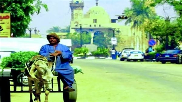 القبض على أبو روشتة