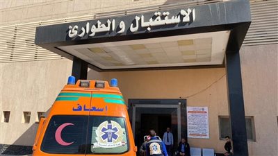 مصرع شاب إثر سقوطه من قطار في قنا 